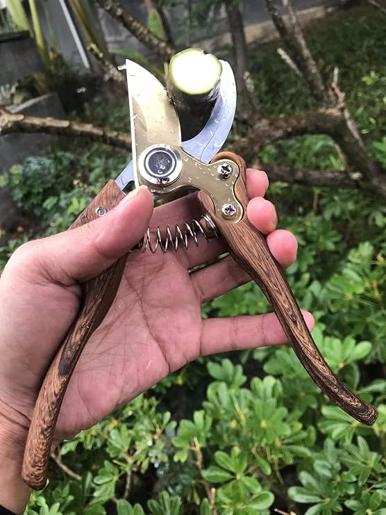 Gartenschere Pflanzenschere aus japanischem SK4-Stahl Garden Shears für die Gartenarbeit Heavy Duty Trauben Kräuter Rose Blume Bäume Gras Schere Professional Pruning Shears