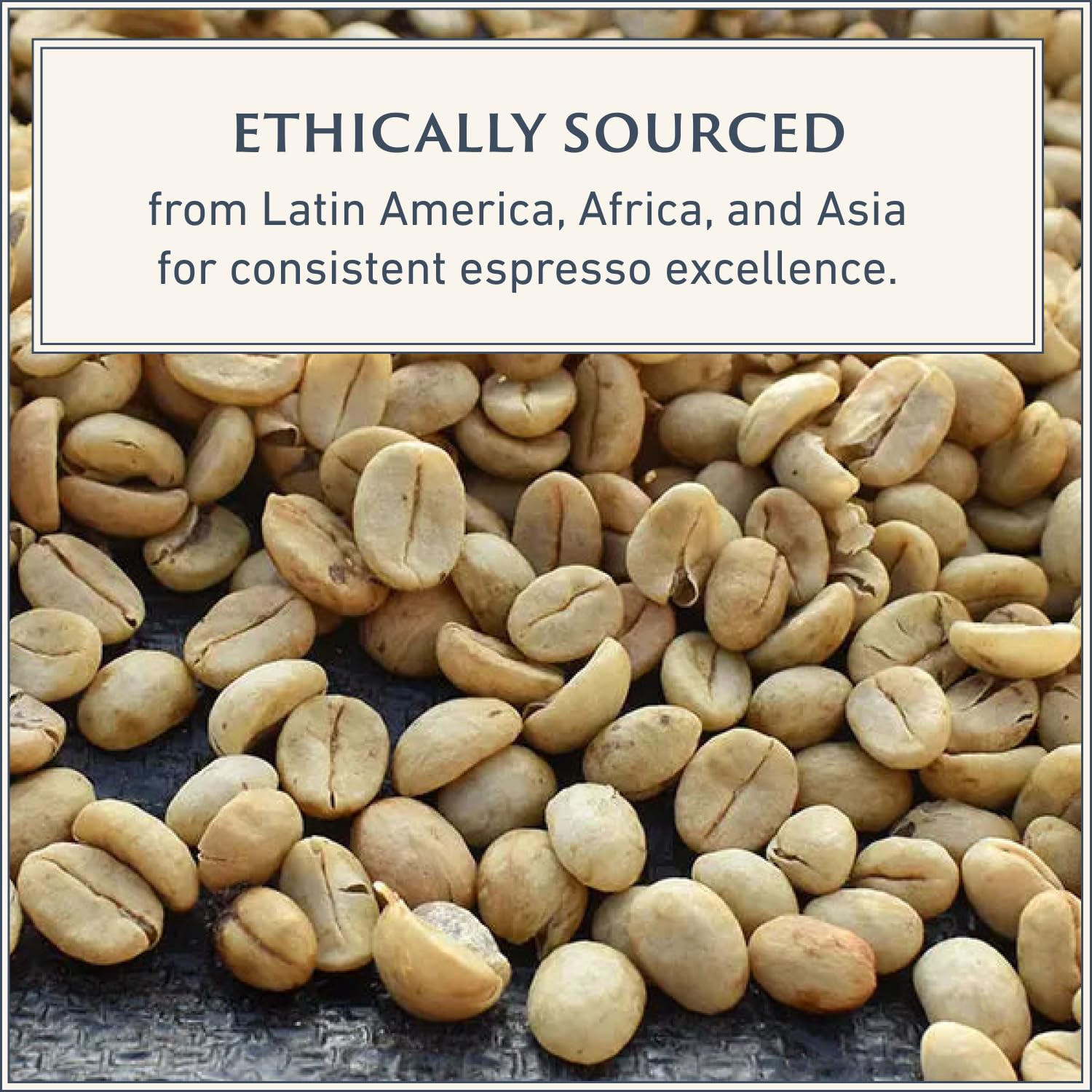 Filicori Zecchini Italian Espresso Beans – Bold Dark Roast Arabica & Robusta Blend Italian Coffee Beans – Slow Roasted Whole Bean Coffee, Rich Flavors – Forte 2.2lb Bag