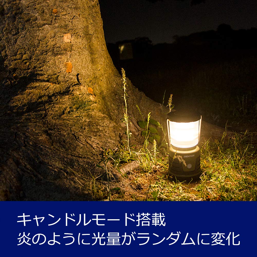 Amazon.com: GENTOS EX-109D LED Lantern, AA Battery Operated, 1000