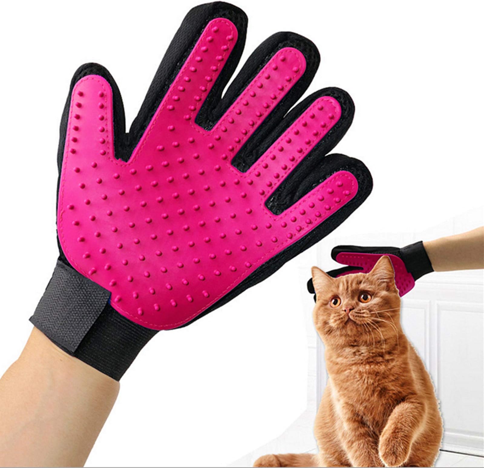 The 6 Best Cat Glove Brushes of 2025 - MSN