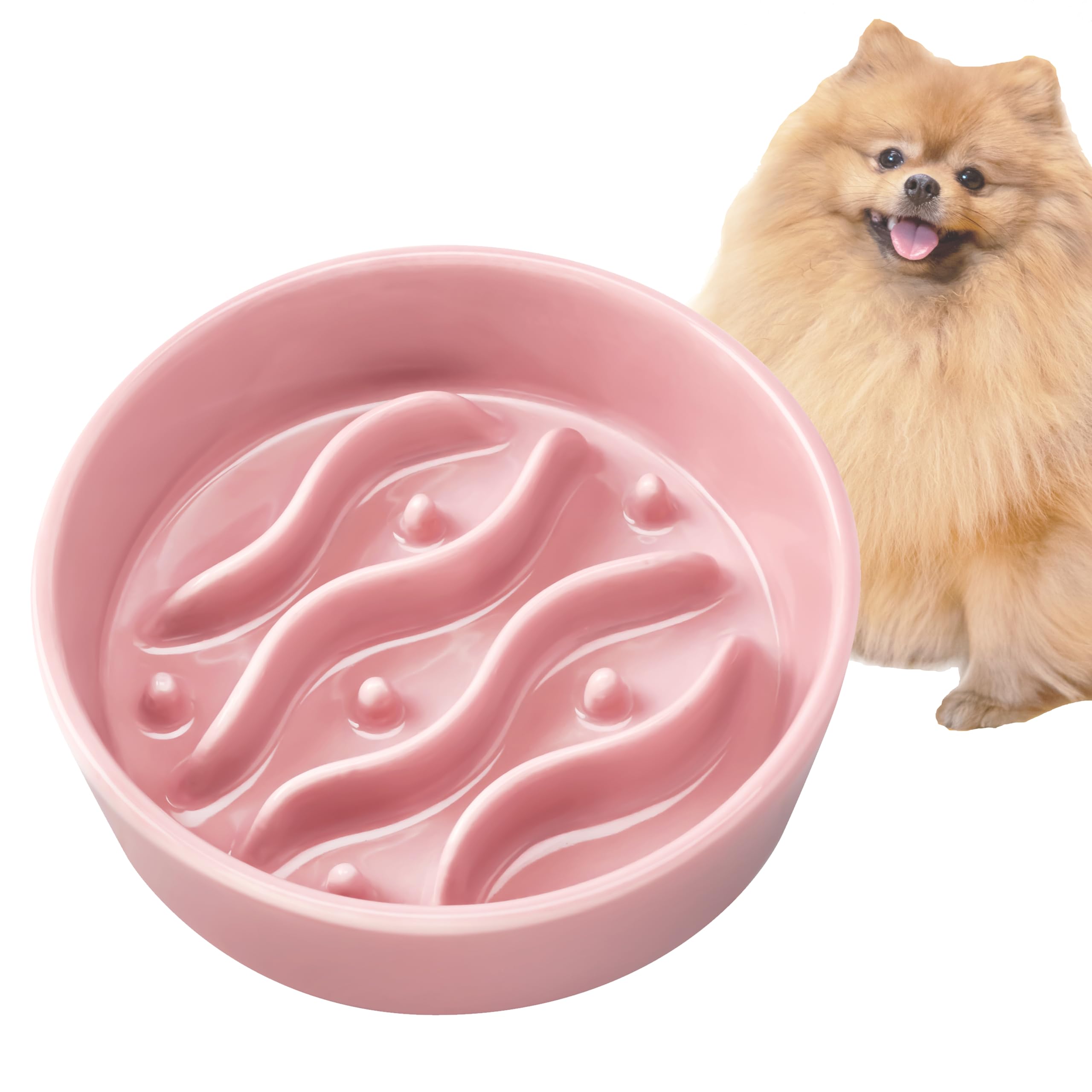 Ceramic Slow Feeder Dog Bowl for Small Breed, 6-Inch Dog Slow Feeder Bowl for Fast Eaters, 14oz, Salmon Pink
