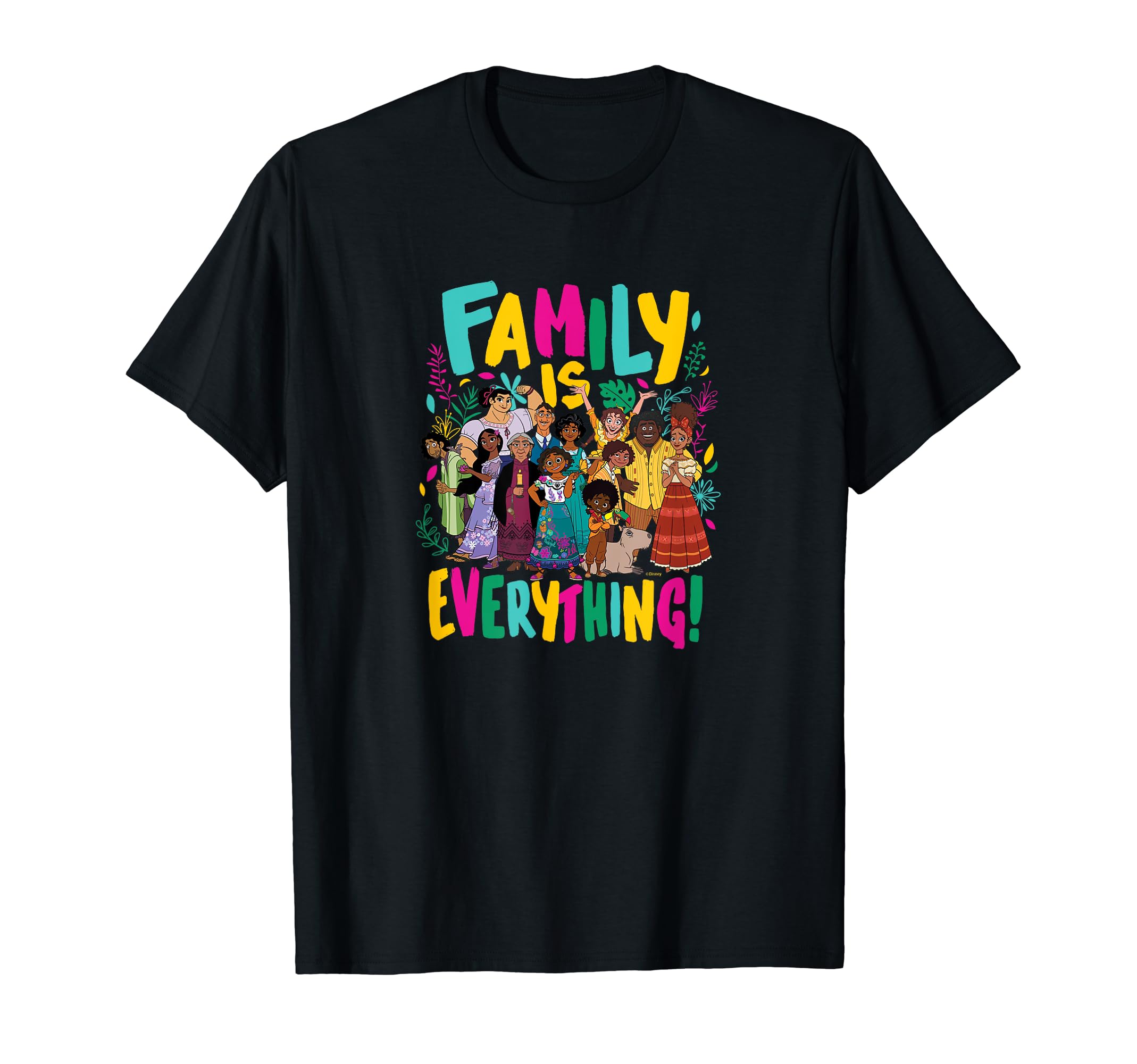 Encanto - Family Is Everything! T-Shirt