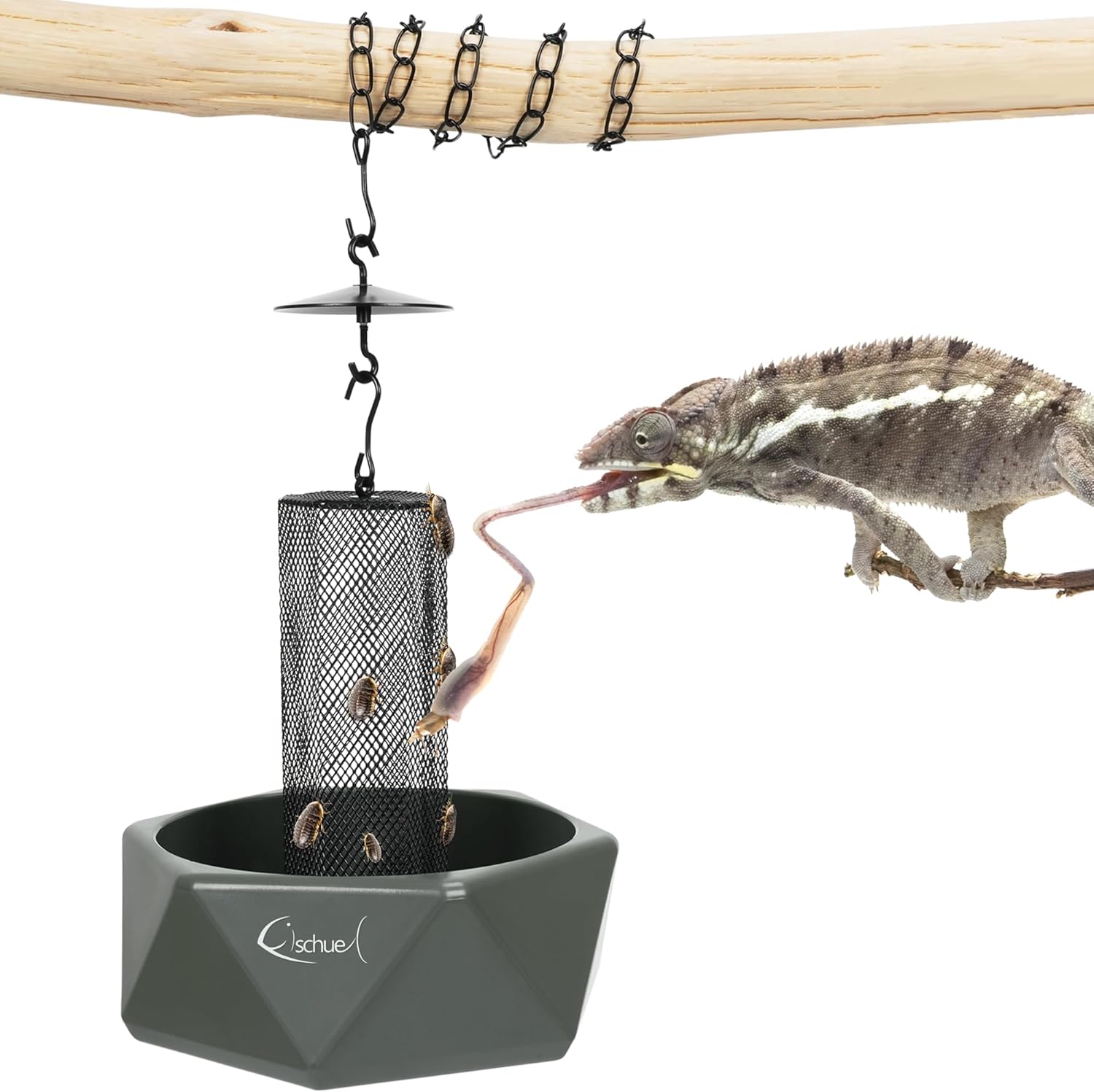Chameleon Feeding Bowl, Hanging Insect Feeder with a Pillar for Prey to Climb Up, Suitable for Chameleon, Bearded Dragon, Lizard, Iguana, Gecko(Green)