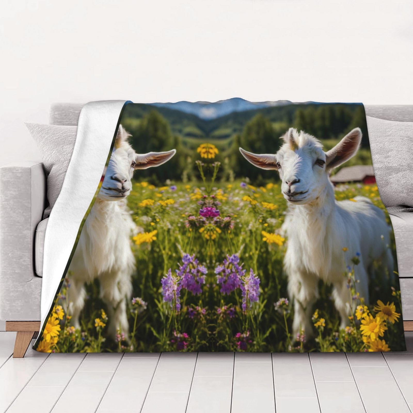 Couverture en peluche pour adultes fini les nuits froides