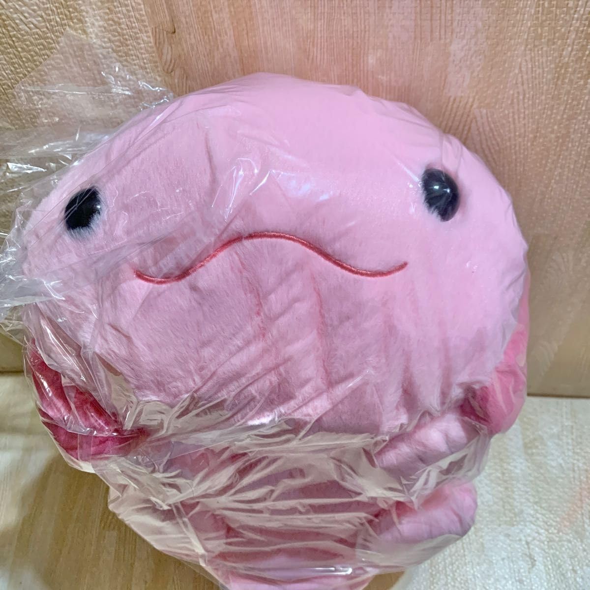 Amazon.co.jp: ゆるっと 水族館 すいぞくかん ウーパールーパー