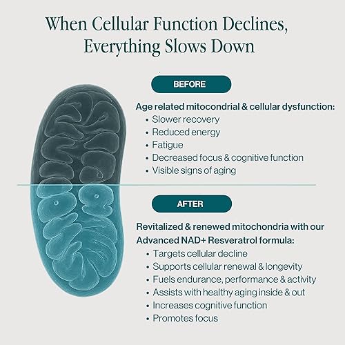 Miniatura 4 de Suplemento NAD+ avanzado con resveratrol y quercetina de 500 mg, NAD Advanced 500 mg, suplemento NMN, suplementos NR, NAD para mujeres y hombres