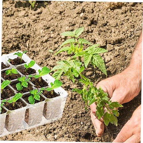 Miniatura 4 de NOLITOY 5pcs Transparent Planting Pot Succulants Vegetable Planting Tray Garden Growing Trays Hydroponic Plants Plant Germination Plate Plant