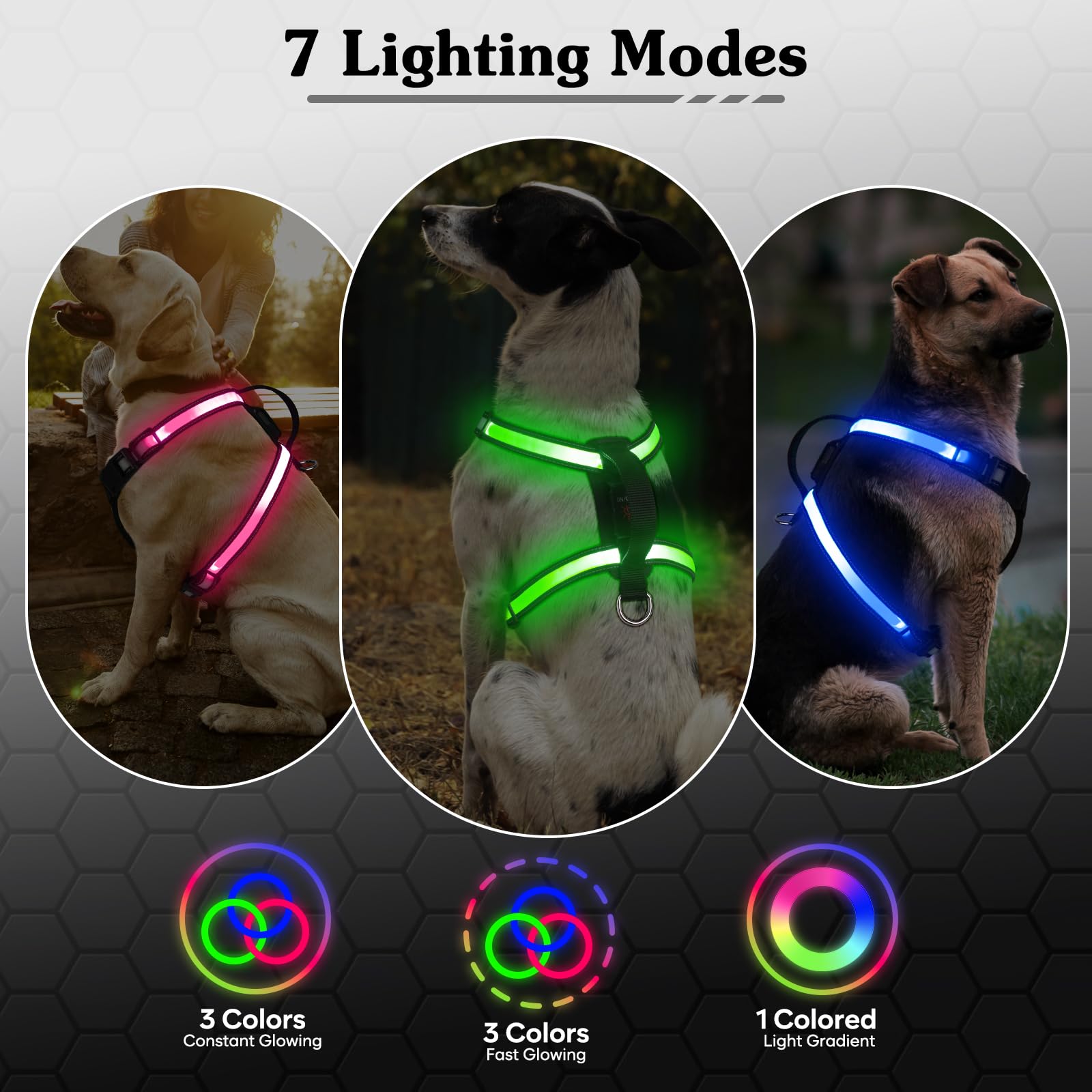 PZRLit Rechargeable LED Dog Harness, Multi-Color Light Up Glow Dark Vest with Reflective Strips - Image 2
