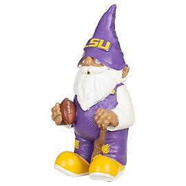 FOCO Lsu 2008 Team Gnome