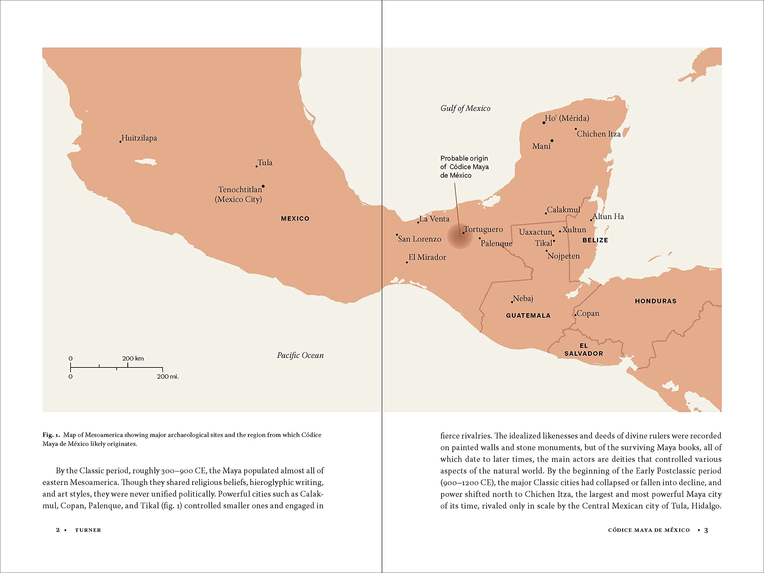 Codice Maya de Mexico: Understanding the Oldest Surviving Book of the Americas