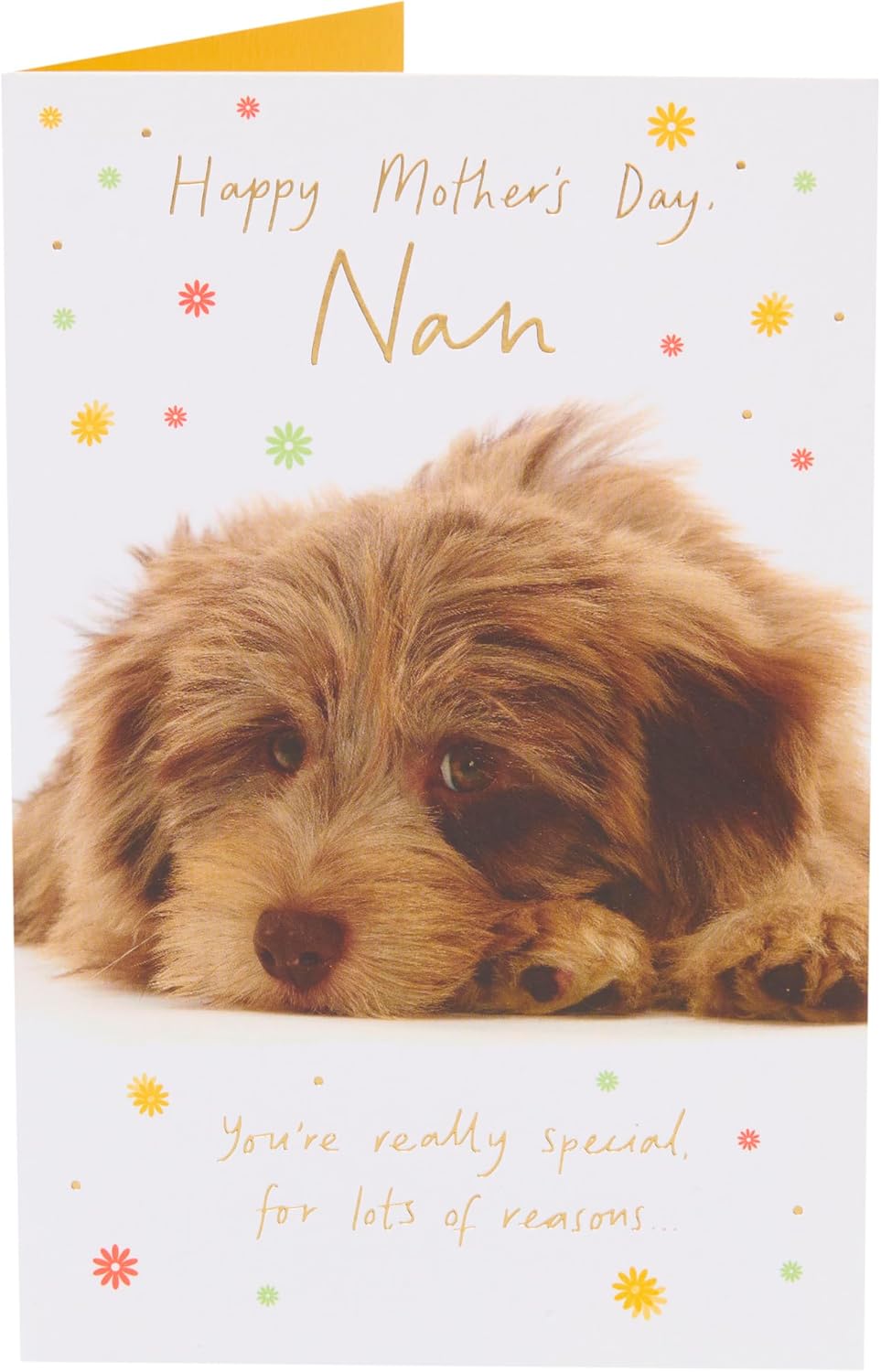 UK Greetings Mother's Day Card for Nan - Cockapoo Design