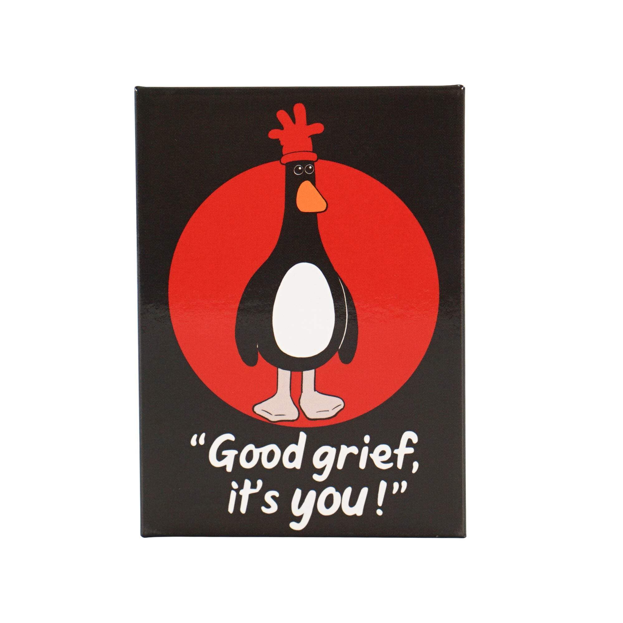 NEW Magnet Metal - Wallace & Gromit (Feathers)