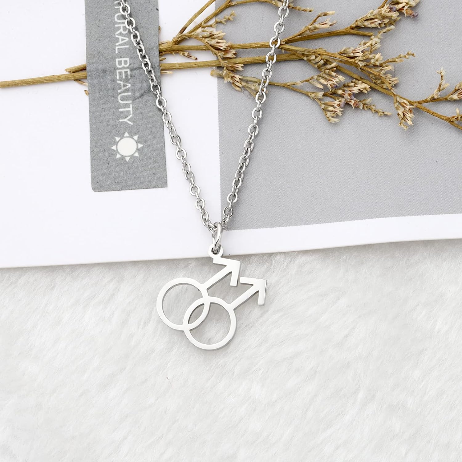 WSNANG Gay Gender Symbol Necklace LGBT Pride Stainless Steel Sign Pendant Necklace Couple Gifts - Image 2