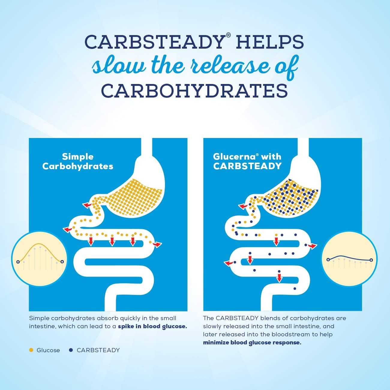 Glucerna Hunger Smart Meal Size, Diabetes Nutritional Shake, Meal Replacement to Help Manage Blood Sugar, Rich Chocolate, 16 Fl Oz, Pack of 12 : Everything Else
