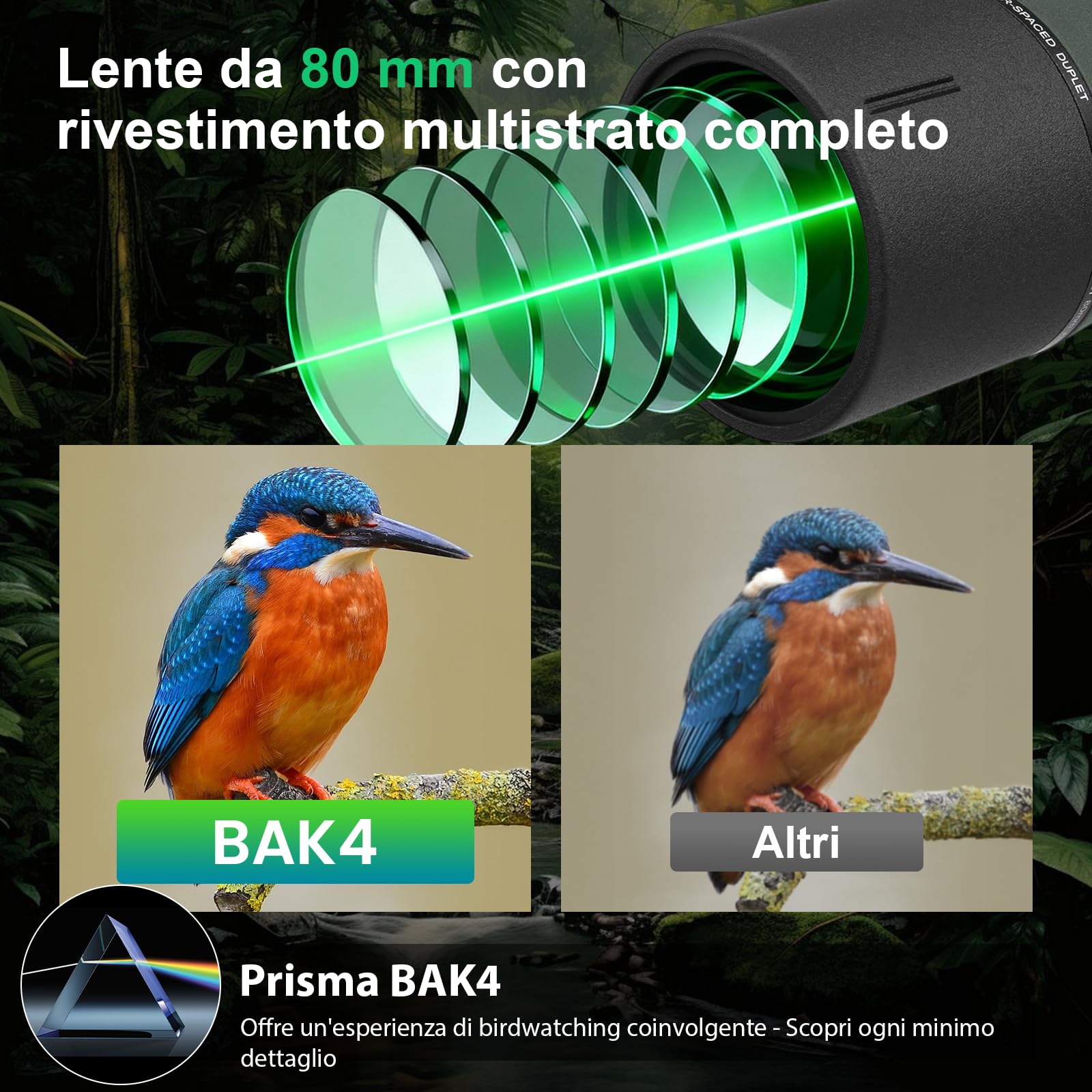 BIBIRE HD-Spektiv 25-75x80 Winkelspektiv mit Stativ und Smartphone-Adapter für Vogelbeobachtung Wildbeobachtung Jagd