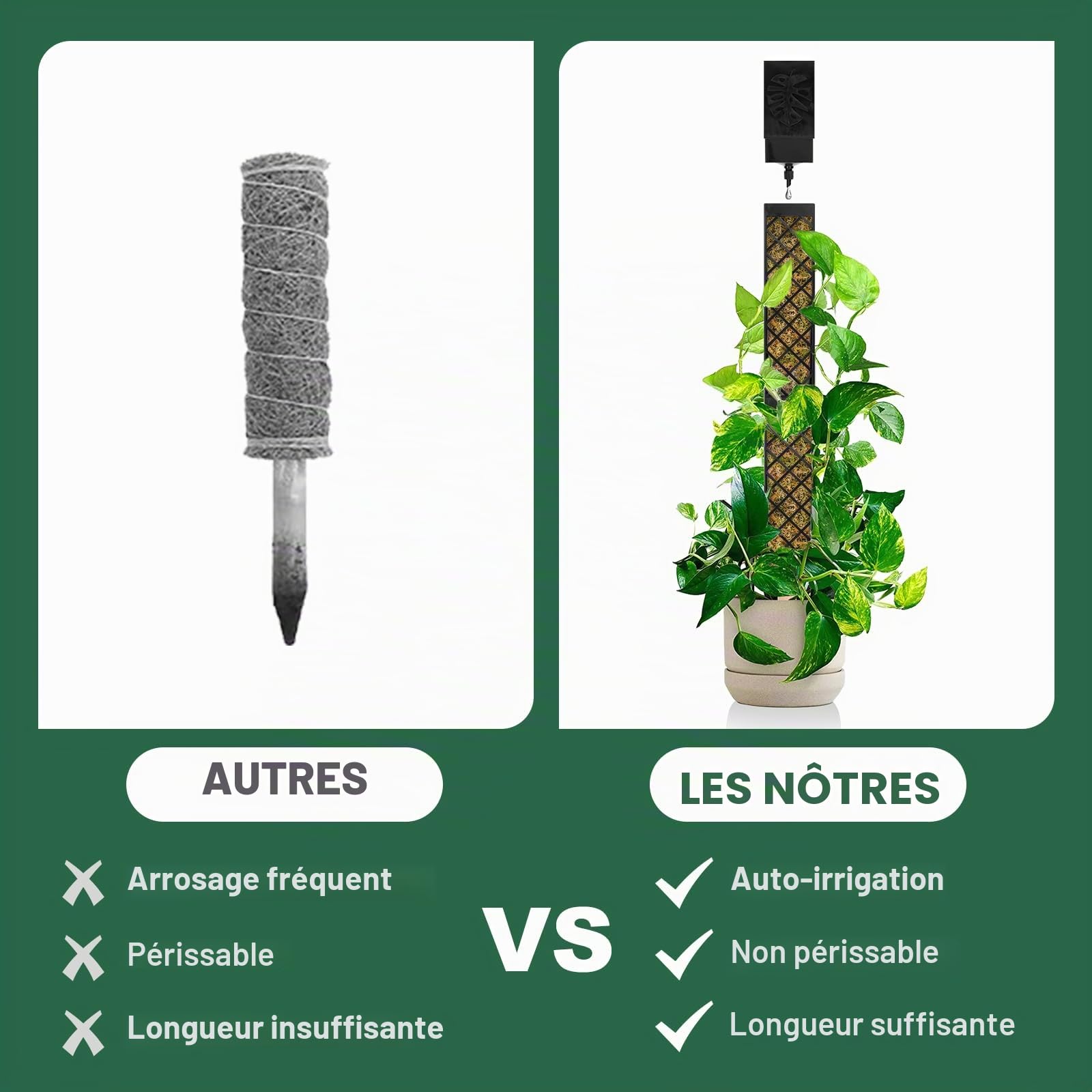 LangRay Tuteur Plantes Grimpantes, 4x25cm Tuteur Monstera pour Plantes d'intérieur, Tiges Auto-arrosant Bâton Extension en Plastique, Support pour Plantes Grimpantes Sphaigne Coco Jardin