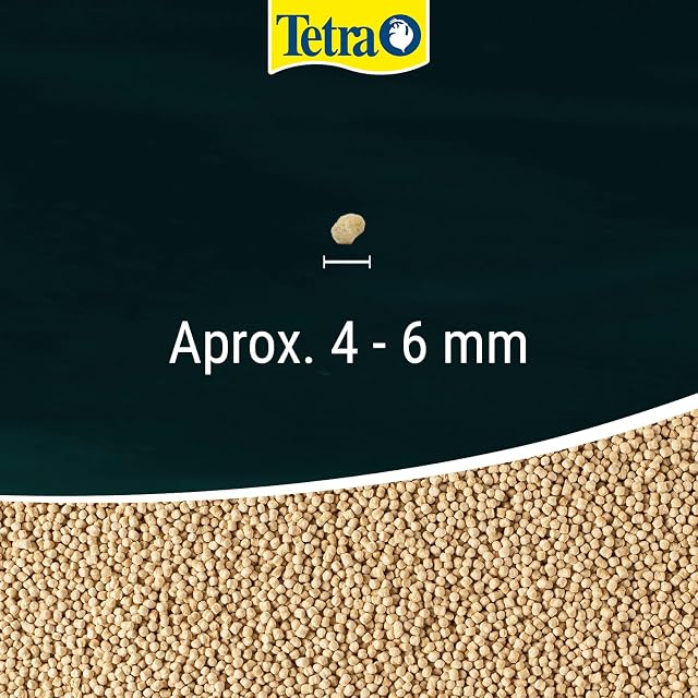 Foto 2 de 8 de Tetra Pond Sticks Mini Alimento para peces de estanque pequeños, 1 L