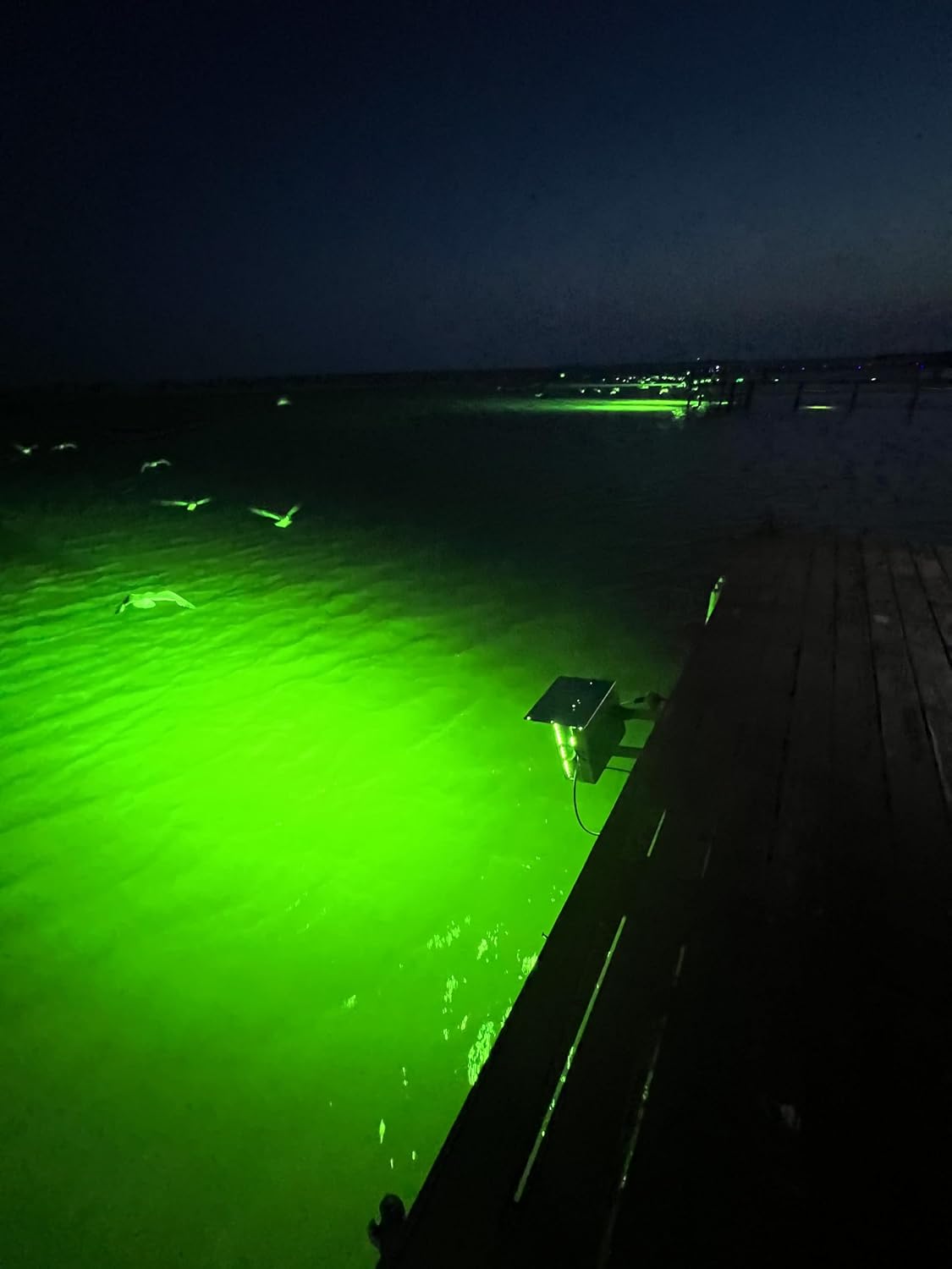 Inferno 3000 Overhead LED Fishing Light with Stainless Steel Shield, Green, Above Water Night Fishing Light.