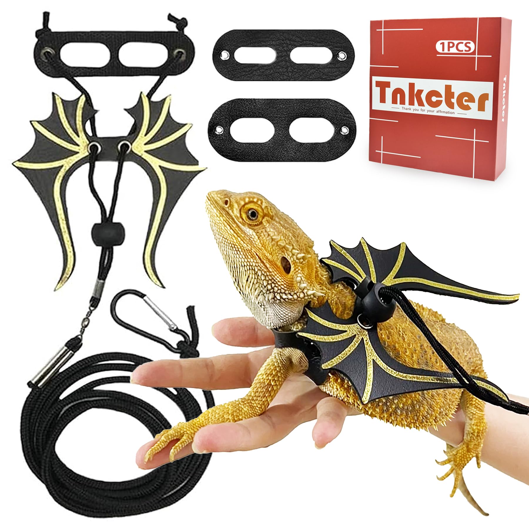 Laisse de lézard avec ailes de dinosaure pour promener votre dragon barbu en toute sécurité