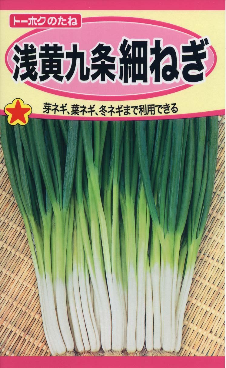 ねぎーページ Amazon | 株式会社トーホク 浅黄九条細ねぎ 02373 | 野菜