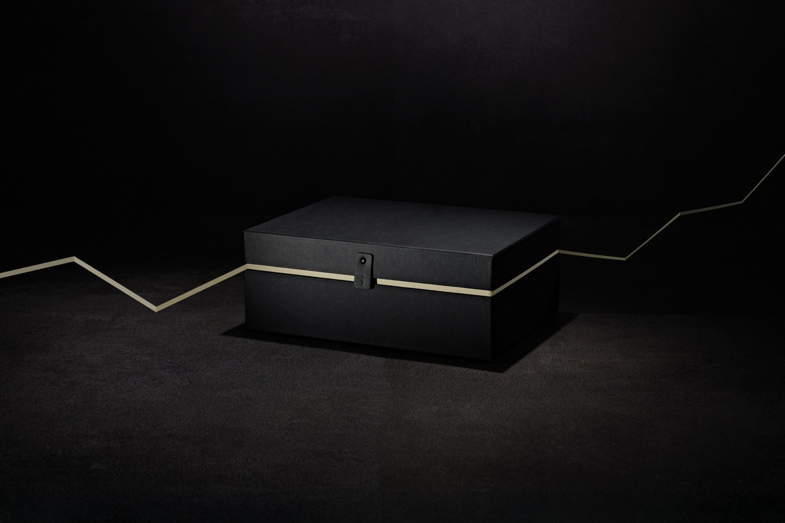 Semikolon 373050 Scatola portaoggetti Premium One Line Edition - Scatola regalo grande 31 x 23 x 12 cm - Nero