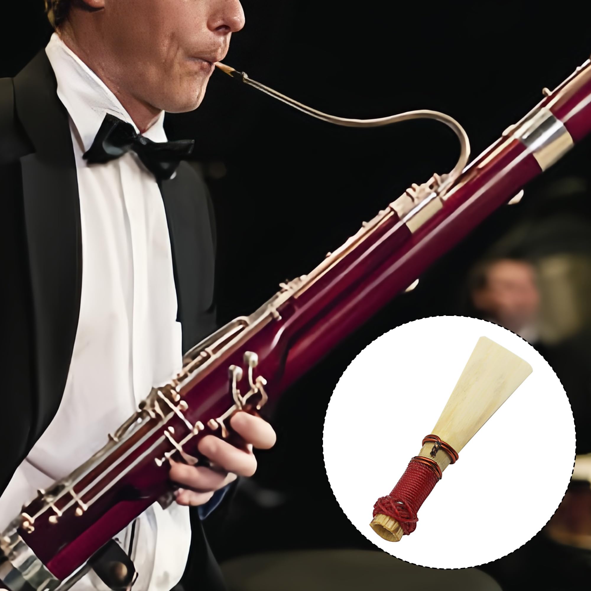 Musiin Artist bassoon reed, medium soft, enhanced tone Ideal for students and professionals reliable playability, outstanding tone - Image 4