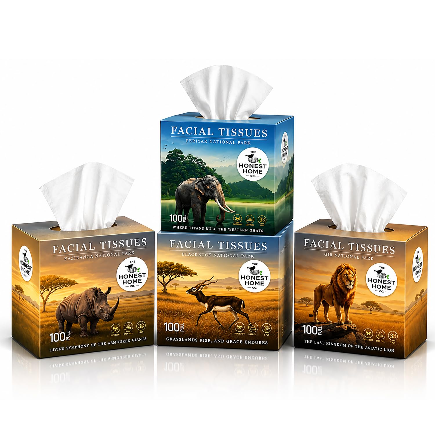 Honest Home 3 Ply Artisanal Facial Tissue Boxes Combo | 400 Pulls | 100 Pulls x 4 boxes | Soft And Highly Absorbent | 100% Natural Virgin Fibre-image-39