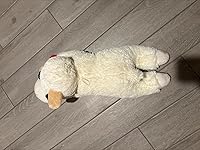 Review Image by David Scott