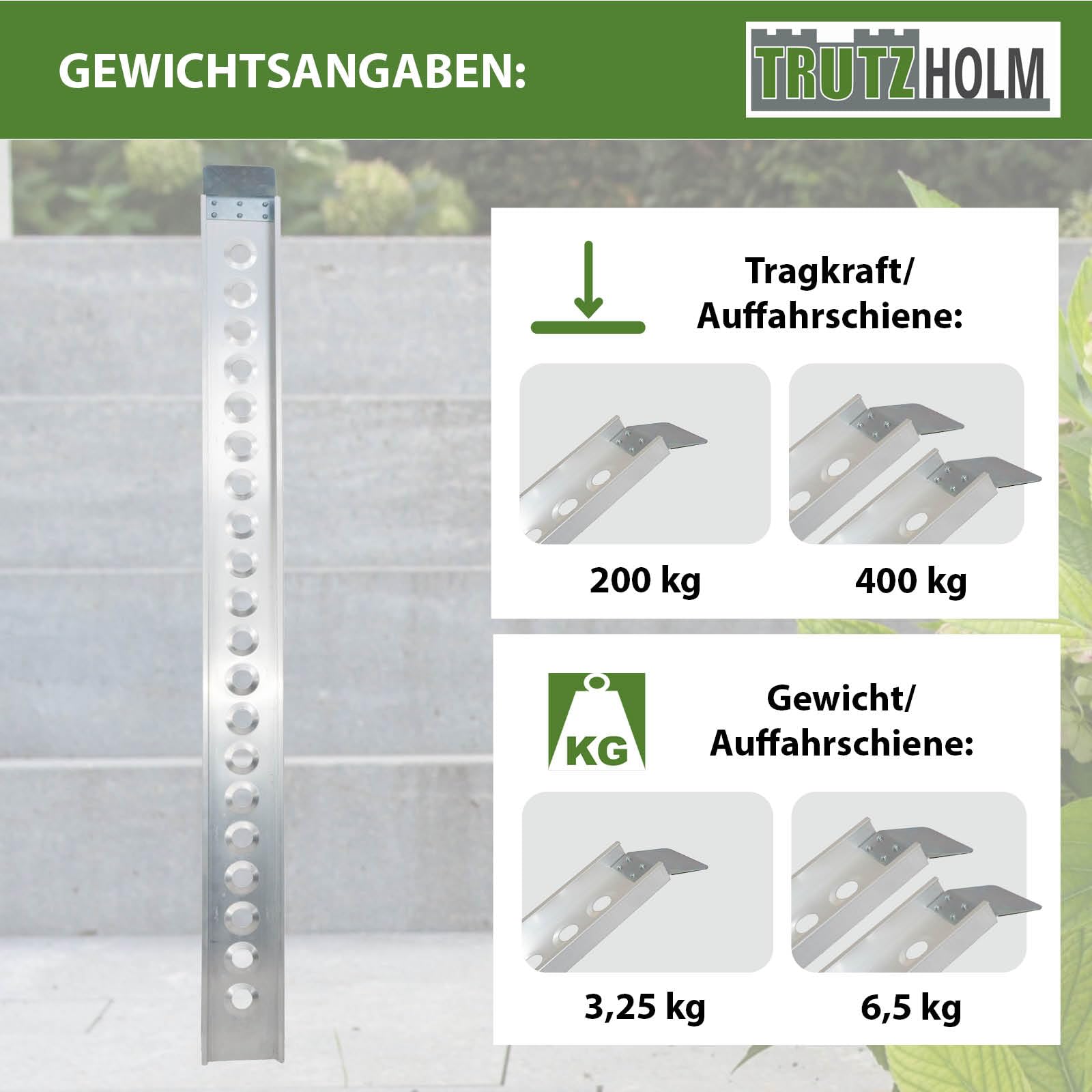 TRUTZHOLM Auffahrschiene Aluminium 194 cm Traglast 200 kg Verladerampe Motorrad Moped E-Bike Fahrrad inkl. Spanngurt Grau