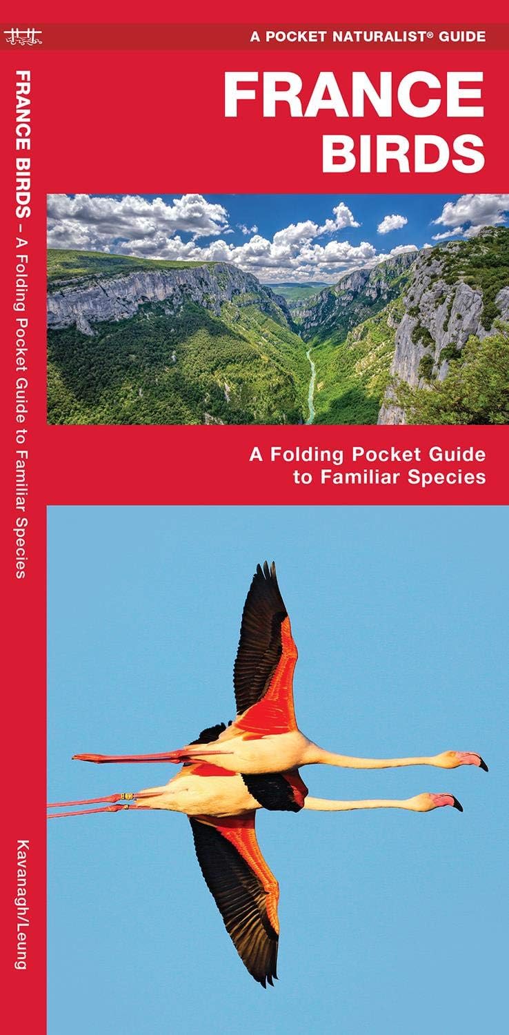 France Birds (Nature Observation International)