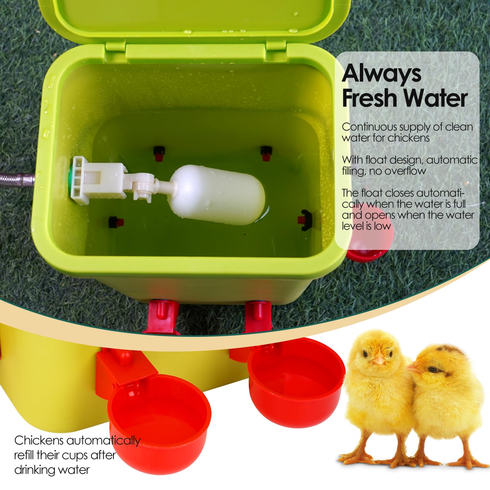 Regadera automática de pollo con válvula flotante, bebedero colgante de 3.2 galones con 6 tazas de agua, dispensador de agua grande de codorniz, pavo, ganso, gallinero