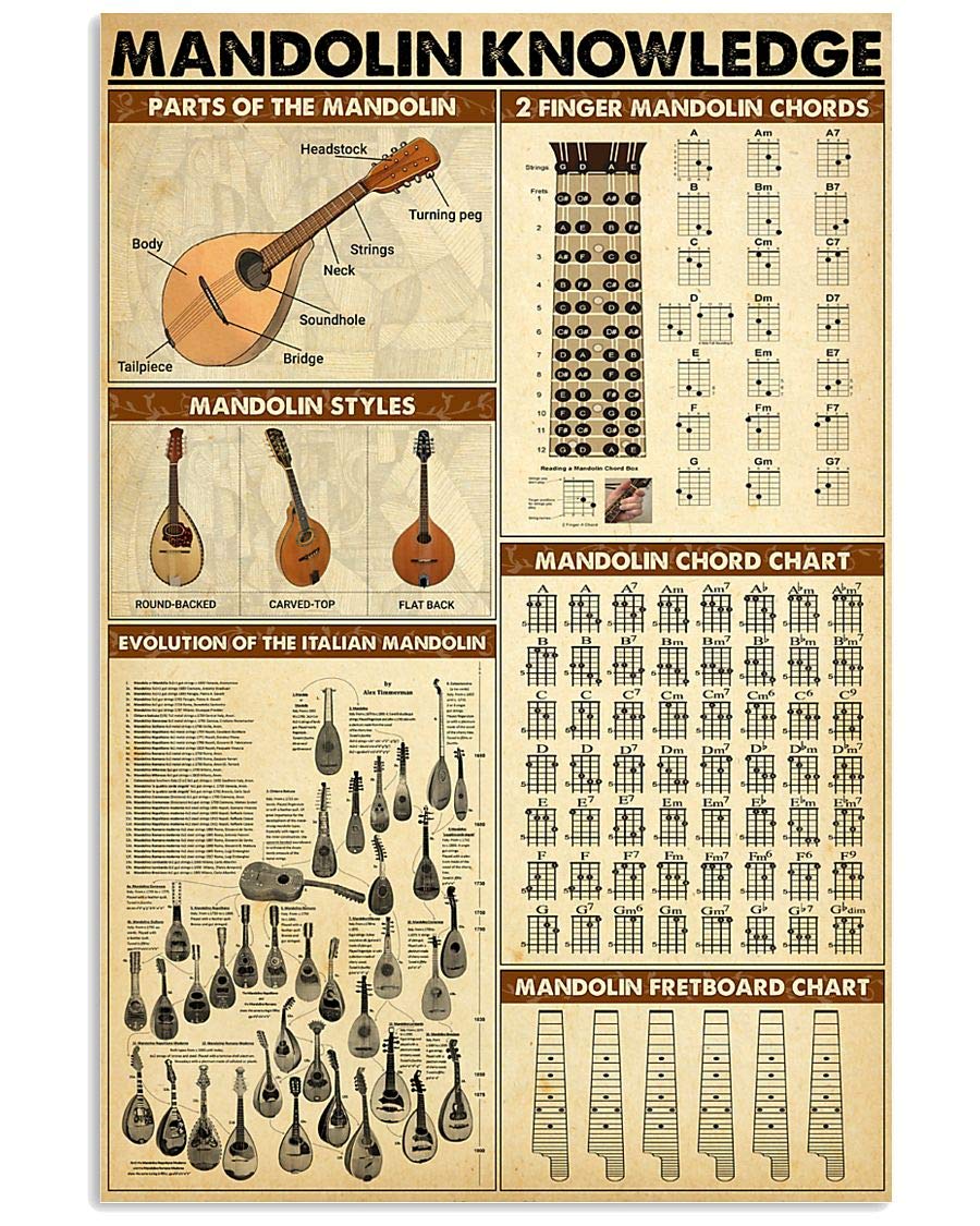 peiyeety Mandolin Knowledge Metal Sign Vintage Music Studio Decor Musician Tin Poster Home Room Club Wall Decoration Plaque es 8"x12"