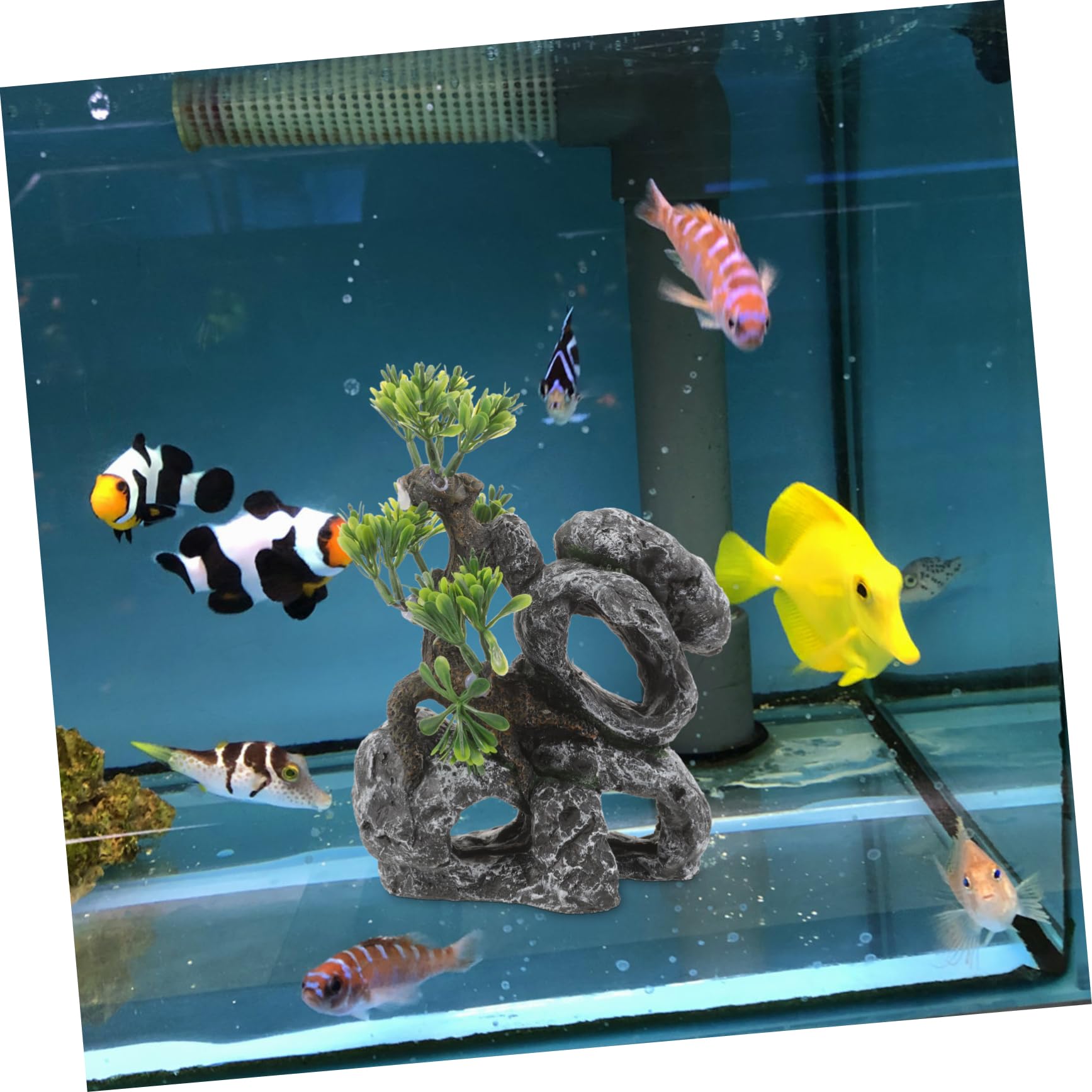 YARNOW 3 Pièces Cachette Aquatique Aquarium Faux Poisson Grenouille décor Chauffage réservoir Filet mangeoire Plantes air océan Usine étang Artificiel Vide Flottant Automatique résine