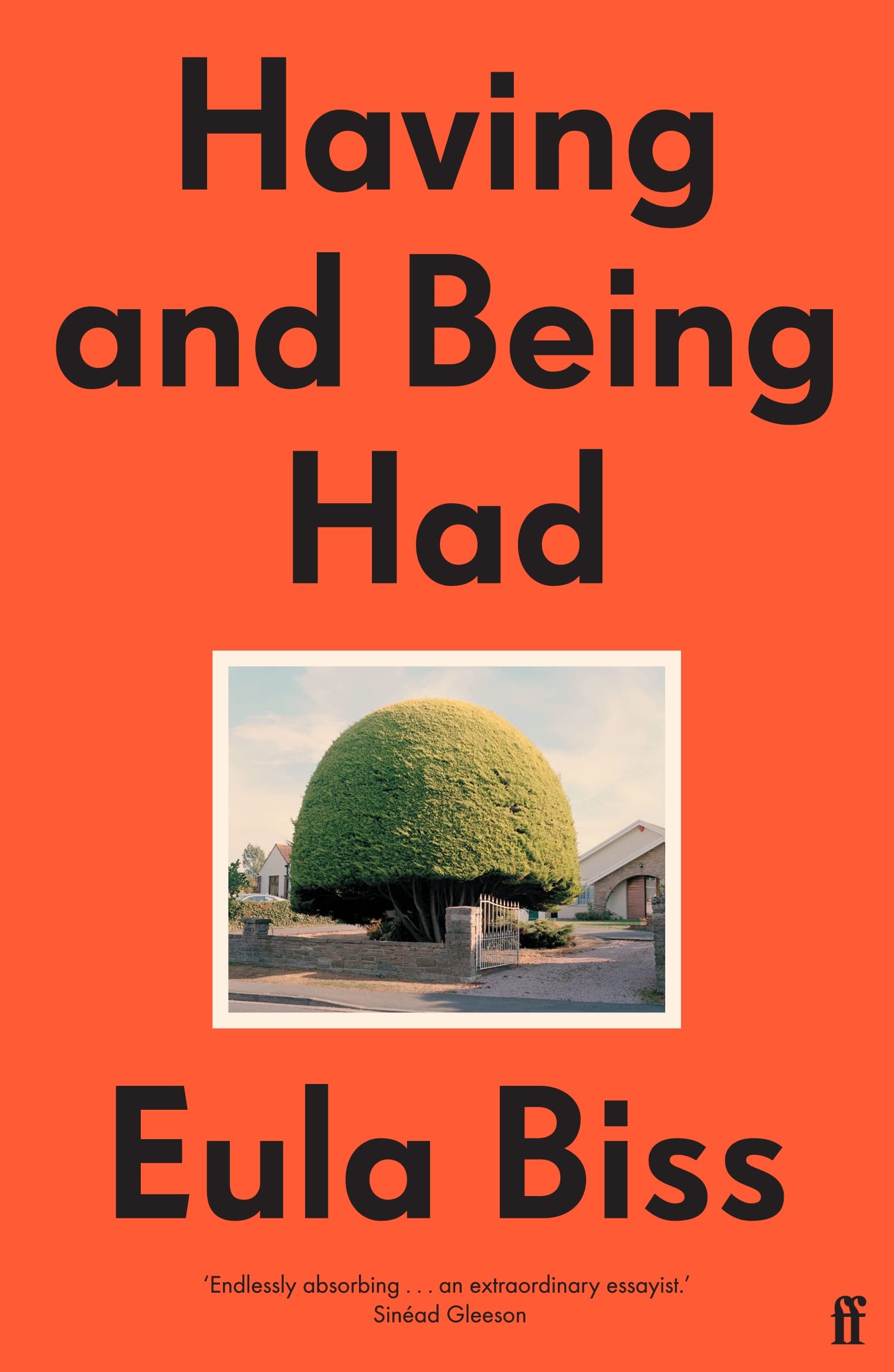 Having and Being Had by Eula Biss Paperback Philosophy Non-Fiction