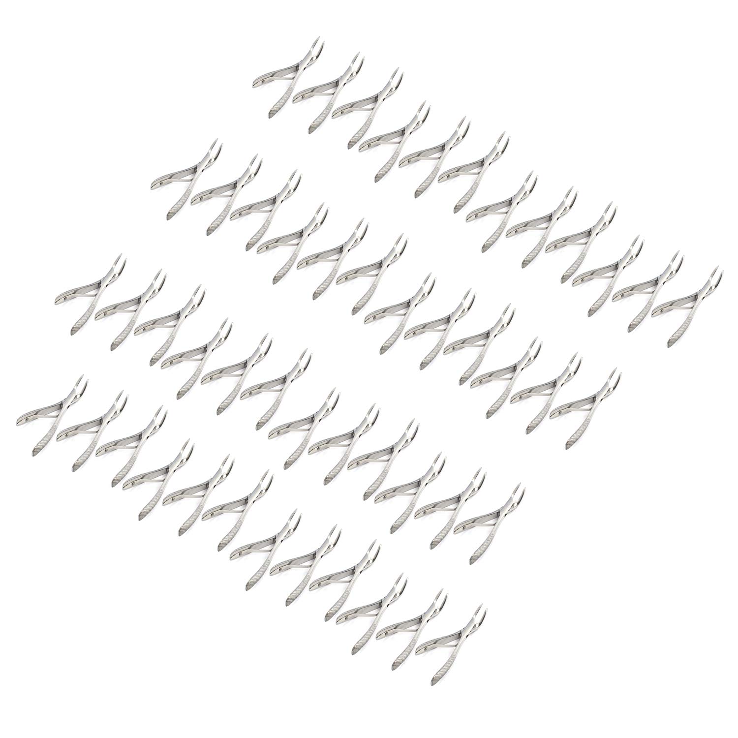 OdontoMed2011® Set Of 50 Dental Extracting Forceps #151SK Dental Extraction Instruments ODM