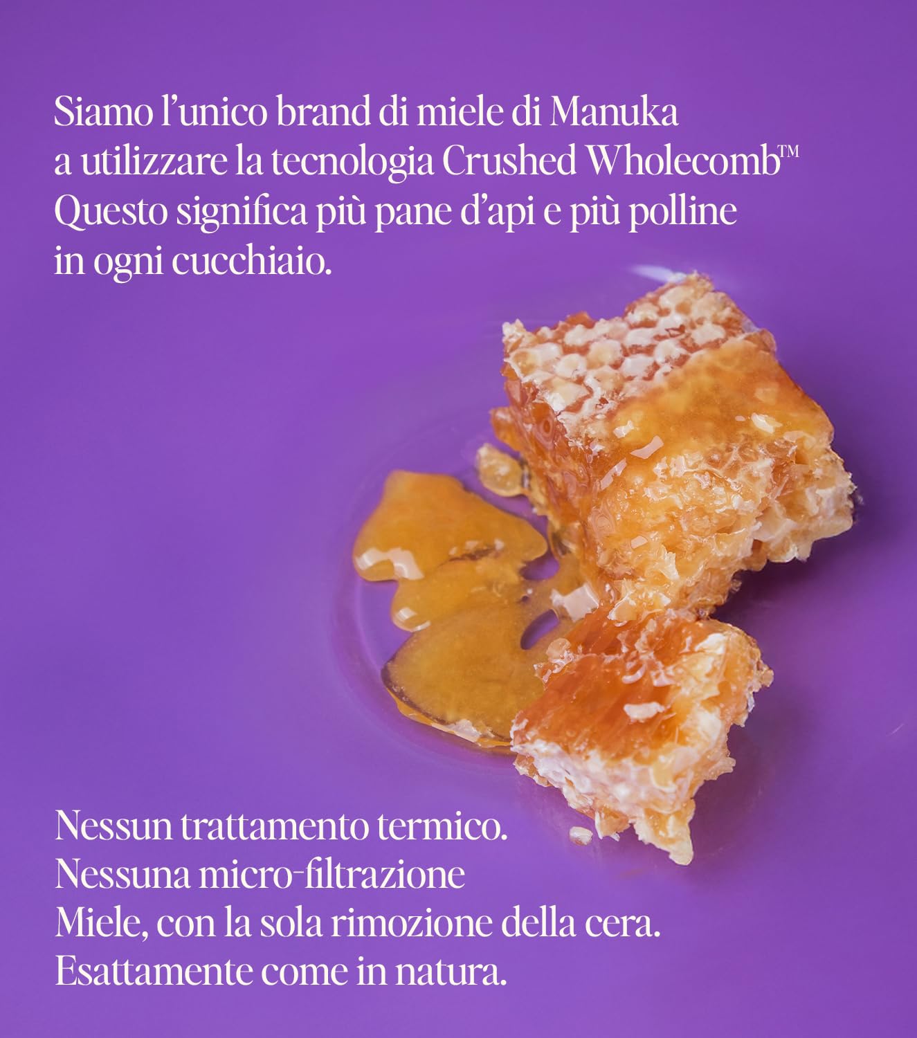 Steens Miele di Manuka - MGO 830+ - Puro Miele Manuka grezzo 100% certificato UMF 20+ - Invasettato e sigillato in Nuova Zelanda - Manuka Honey - 500 g