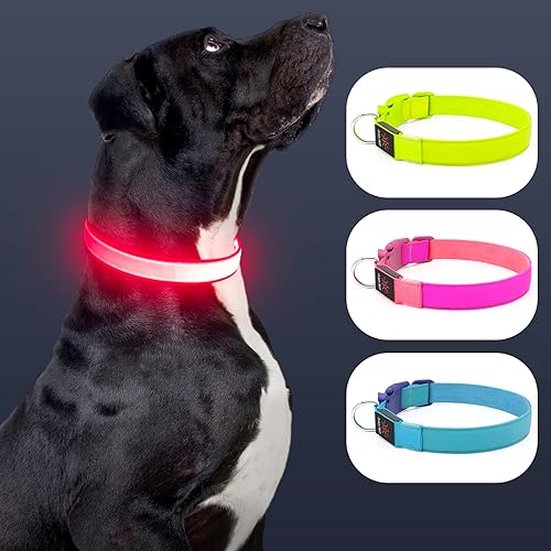 Miniatura 8 de Collar de perro con luz LED, recargable por USB, tamaño ajustable, correas de nailon resistente, collares básicos de seguridad para perros grandes y