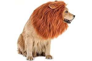 Lion Mane Costume for Dogs