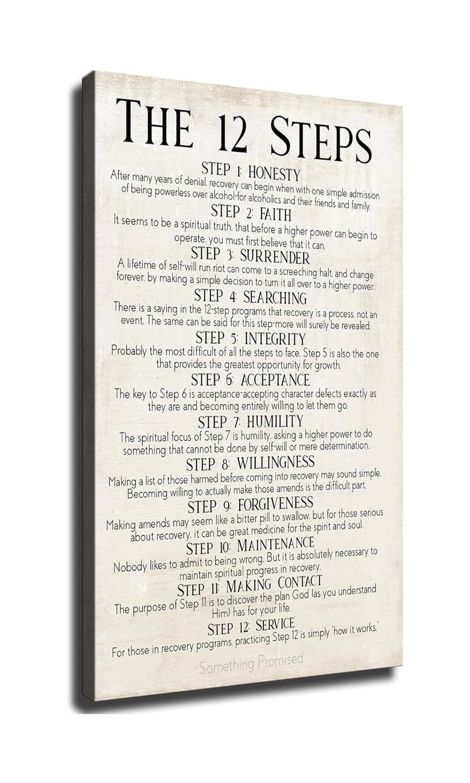 LLBOGRGGN 12 Steps Recovery Program Poster, Addiction Wall-Art for Counselor Office, Sober Living, Meeting Room Decor(Framed,16X24inch(40X60cm))