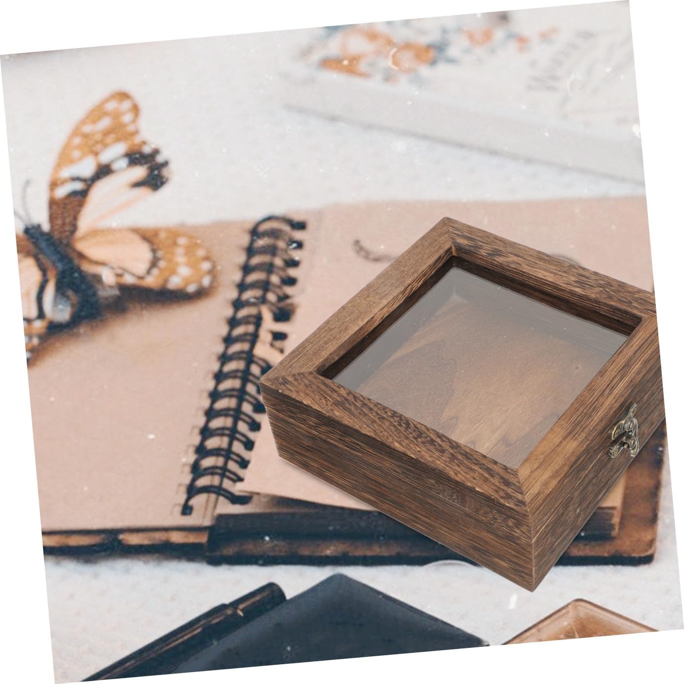 Butterfly Specimen Display Box Vintage Case Container for Specimens Jewelry and Memorabilia Craftsmanship Carbon Color