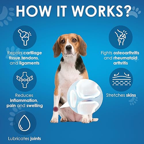 Miniatura 2 de PrestiPet Masticables de apoyo para cadera y articulaciones, apoyo antiinflamatorio para la movilidad de la salud de las articulaciones,