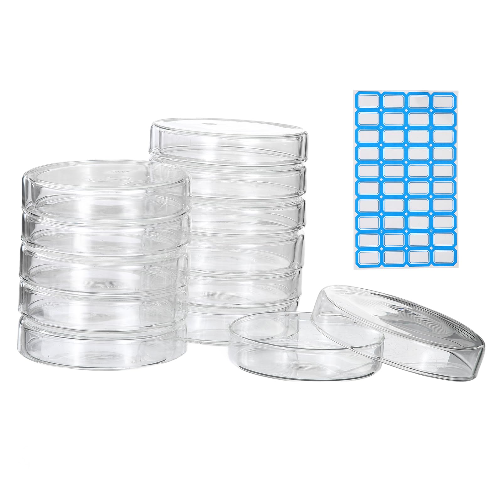 PATIKIL 12 Pezzi Vetreria Petri Con Coperchio, 90 Mm Vetro Borosilicato Spesso Autoclavabile Piastre Coltura Laboratorio Etichette Per Esperimento Scientifico Progetto Laboratorio