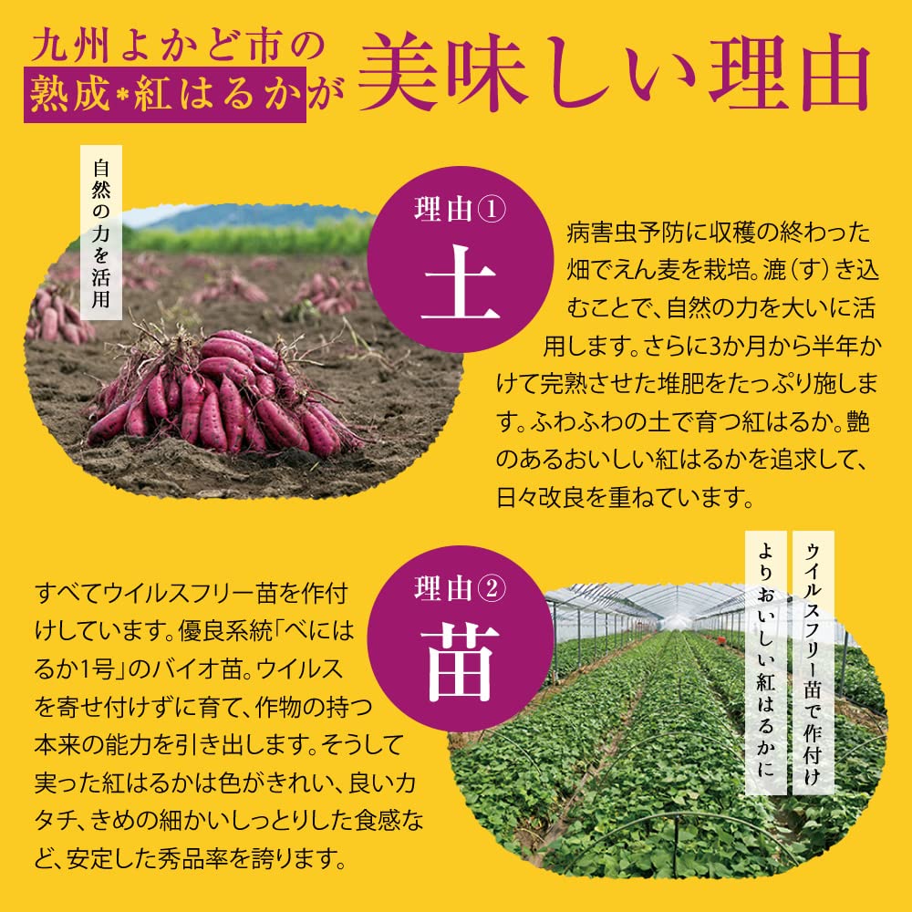 Amazon.co.jp: 【20kg】熟成＊紅はるか ／ 鹿児島県産 ／ 焼き芋に
