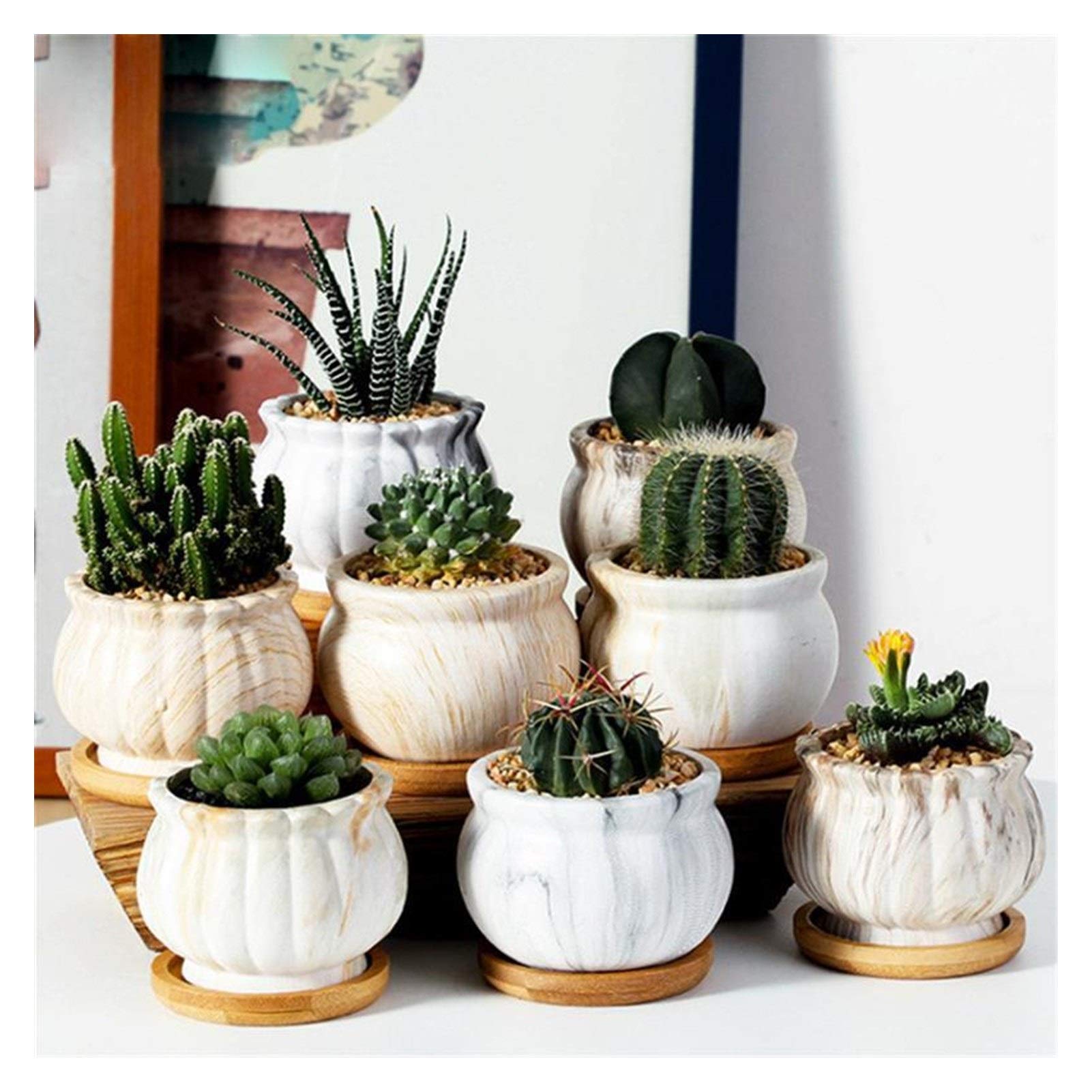Vasi per Piante 4pcs Flower Flower Pot Ceramica succulente Flower Flower Flower Pot Flower Pot pentola pianta macetas Accessori da Giardino Domestici Flower Flower Decorazione Ufficio pianta