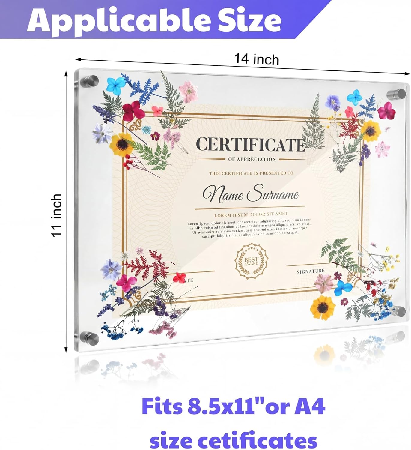 AmazingSpark 1 Set Pressed Flower Diploma Frame Floating Frameless Clear Acrylic Wall Mount Picture Frame, 24 Nano Strip 6 Color Pressed Flower for Certificate Degree Artwork (11x14'',Colorful)