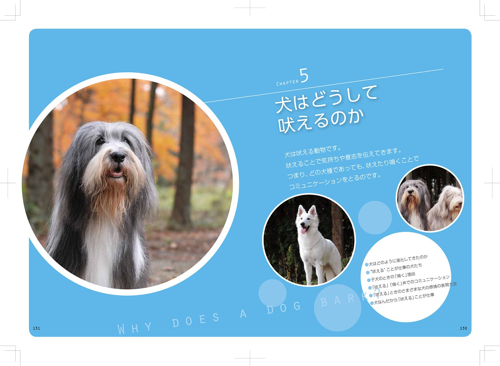 むだ吠えの直し方 誠文堂新光社 愛犬の友編集部 Afb 愛犬家のためのしつけシリ ズ むだ吠えの直し方 誠文堂新光社 愛犬の友編集部 Afb 愛犬家のためのしつけシリ ズ