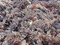 Review Image by Nathan Vasquez Nathan Vasquez