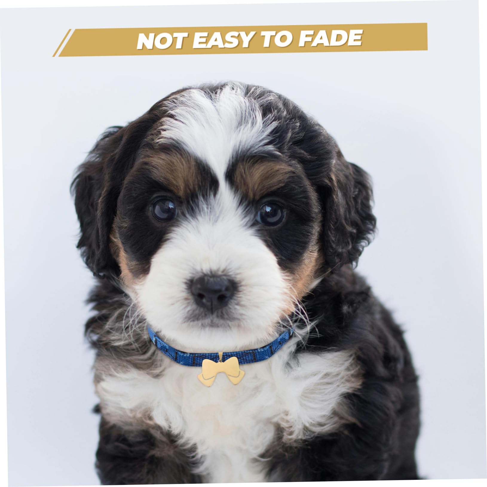 Sosoport 20pezzi Medagliette Per Cani Forma Di Fiocco Targhette Identificative Acciaio Inossidabile Per Cani e Gatti Personalizzabili Con e Telefono Cute e Versatili Per Animali Domestici