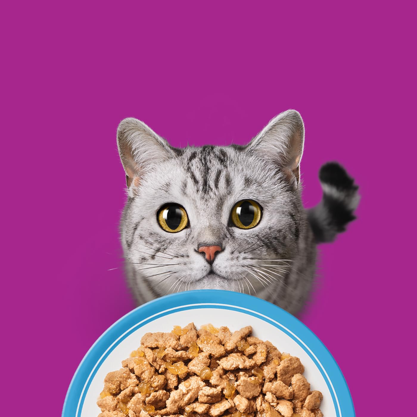 Whiskas Golosinas de pescado para adultos en gelatina en bolsitas para gatos 80 x 85 g