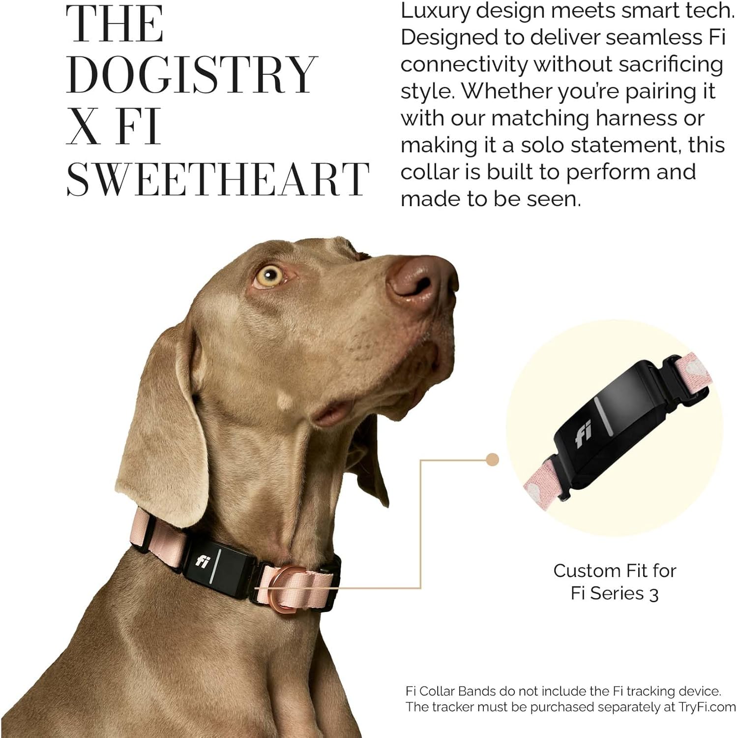 The DOGISTRY - Fi Sweetheart Collar - Luxury Design Meets Smart Tech - Crafted for Fi Series 3/3+ - Seamless Style & Craft - Large